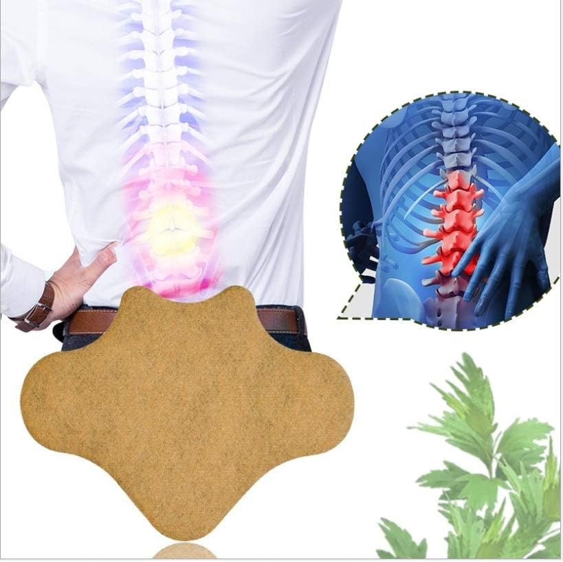 Parche para vertebras lumbares